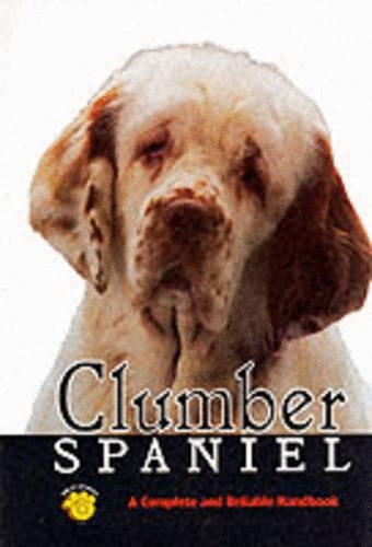 Clumber Spaniel