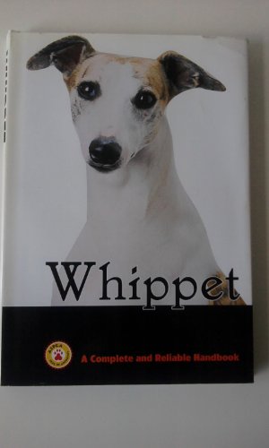 Whippet