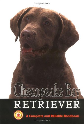 Chesapeake Bay Retriever