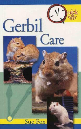 Gerbil Care