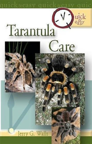 Tarantula Care