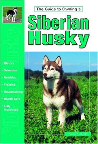 Guide to Owning a Siberian Husky