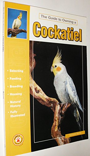 Guide to Owning a Cockatiel