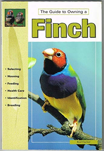 Guide to Owning a Finch