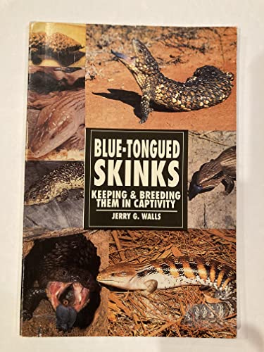 Blue-tongued Skinks