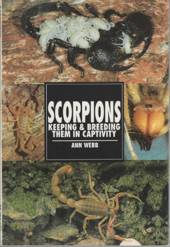 Scorpions