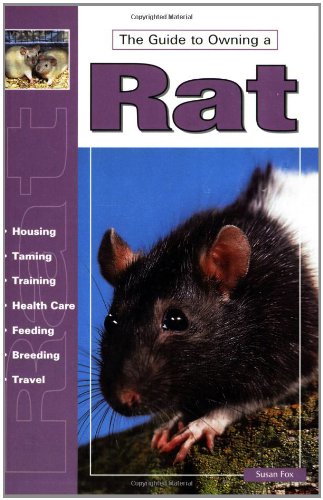 Guide to Owning a Rat