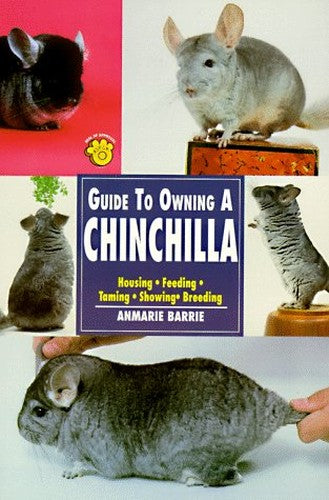 Guide to Owning a Chinchilla