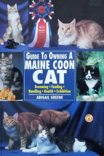 Guide to Owning a Maine Coon Cat