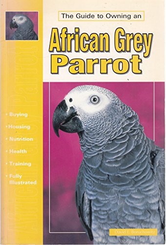 The Guide to Owning an African Grey Parrot