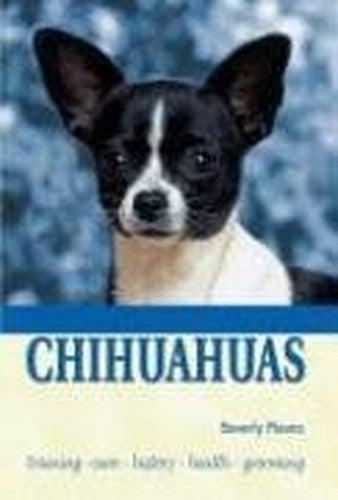 Chihuahuas