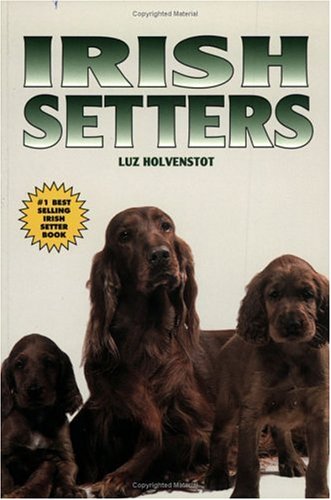 Irish Setters