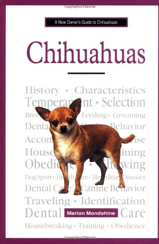 A New Owner's Guide to Chihuahuas