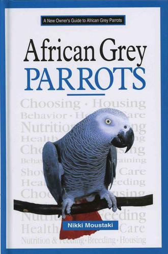 A New Owner's Guide to African Grey Parrots