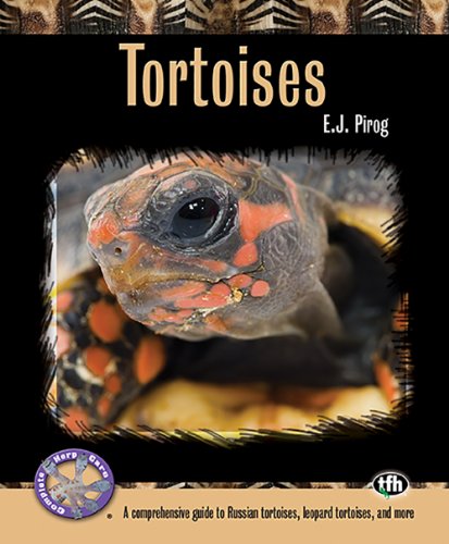 Tortoises