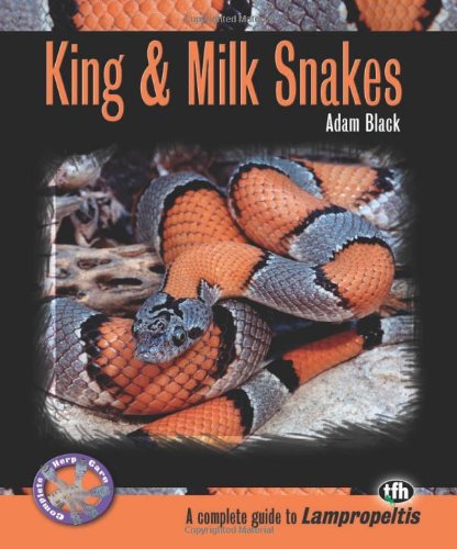 King and Milk Snakes