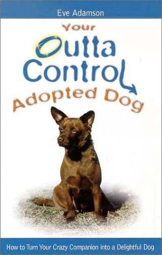 Your Outta Control Adopted Dog