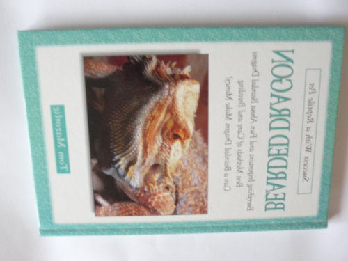Bearded Dragon