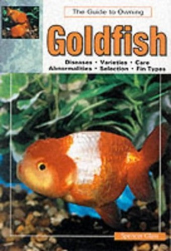 Guide to Owning Goldfish