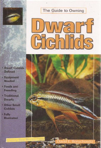 the guide to owning dwarf cichlids