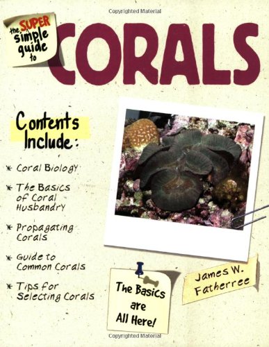 The Super Simple Guide to Corals