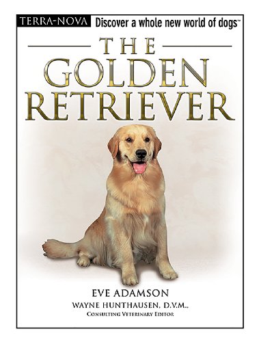 The Golden Retriever