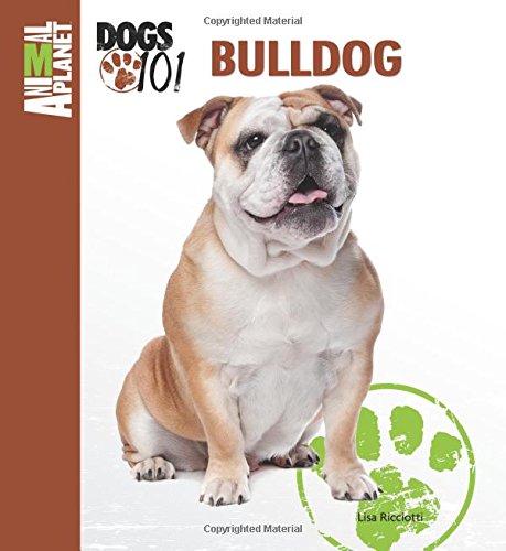 Bulldog