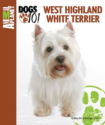 West Highland White Terrier