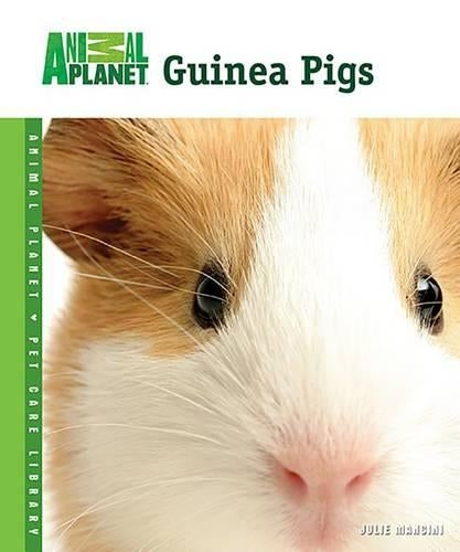 Guinea Pigs