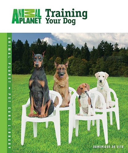Training Your Dog