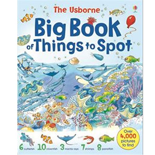 The Usborne Big Book of Things to Spot