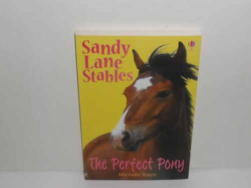 The Perfect Pony