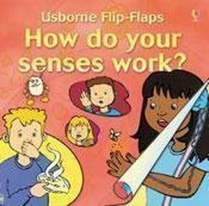 How Do Your Senses Work 
