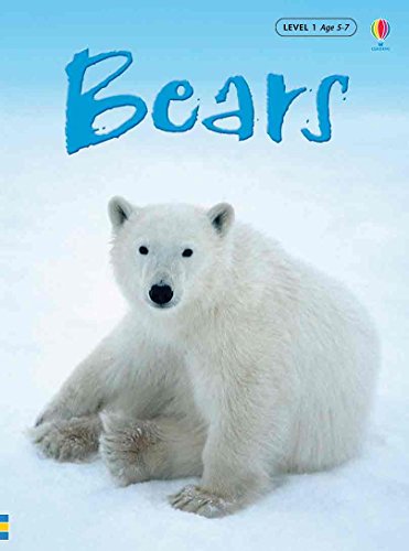 Bears