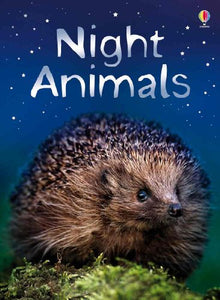 Night Animals 