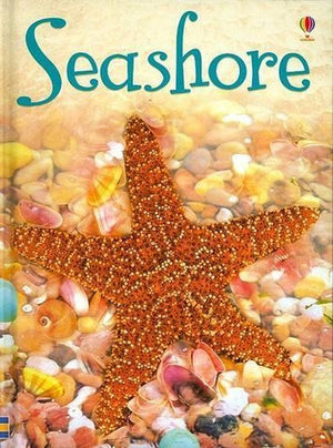 Seashore