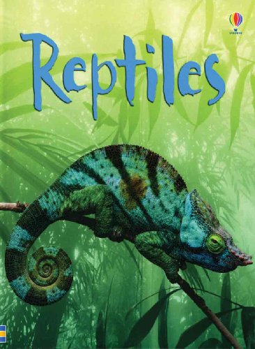 Reptiles