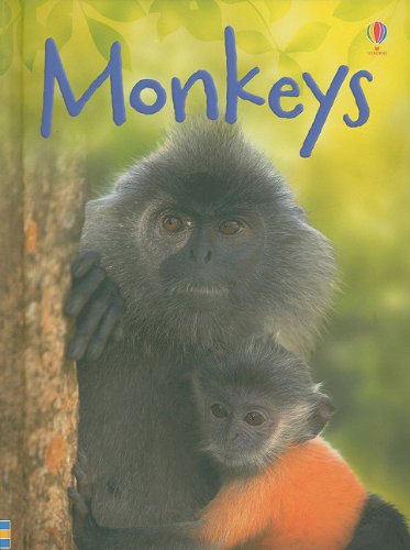 Monkeys