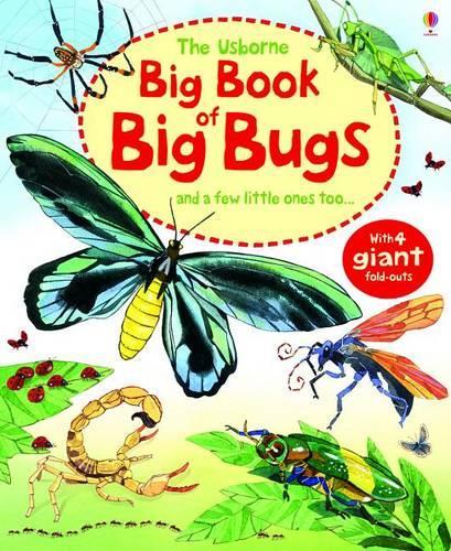 The Usborne Big Book of Big Bugs