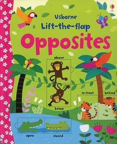 Opposites Lift the Flap