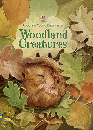 Woodland Creatures Usborne Young Beginners Hardcover Emily Bone