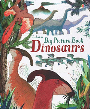Big Picture Book of Dinosaurs NEW Hardcover Laura Cowan