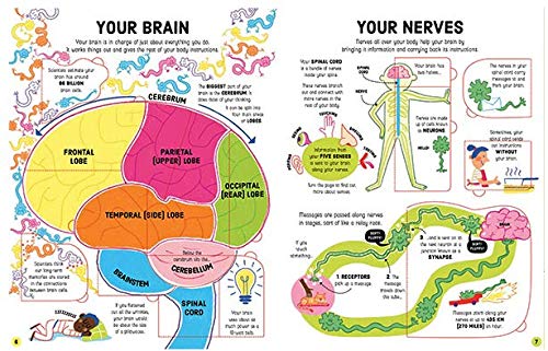 Usborne Advanced Lift-the-Flap : How Your Body Works