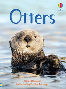Otters (Beginners) 