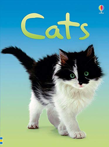 Cats REVISED (Beginners)