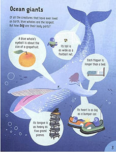 Lots of Things to Know About Animals (IR) 