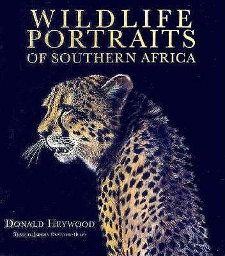 Wildlife Portraits