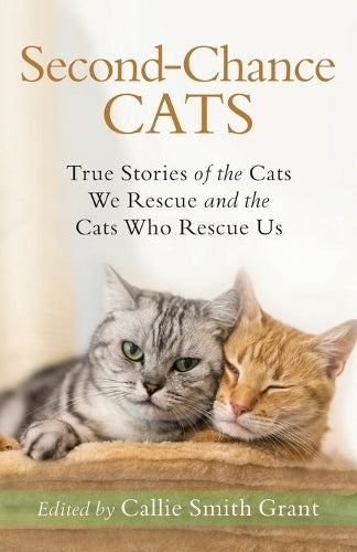 SecondChance Cats  True Stories of the Cats We Rescue and the Cats Who Rescue Us