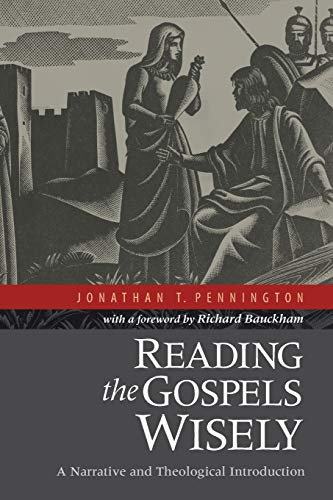 Reading the Gospels Wisely  A Narrative and Theological Introduction