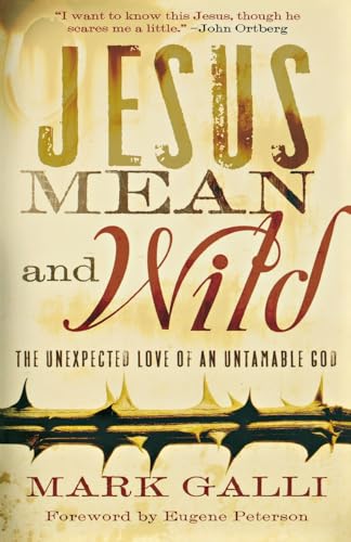 Jesus Mean and Wild  The Unexpected Love of an Untamable God